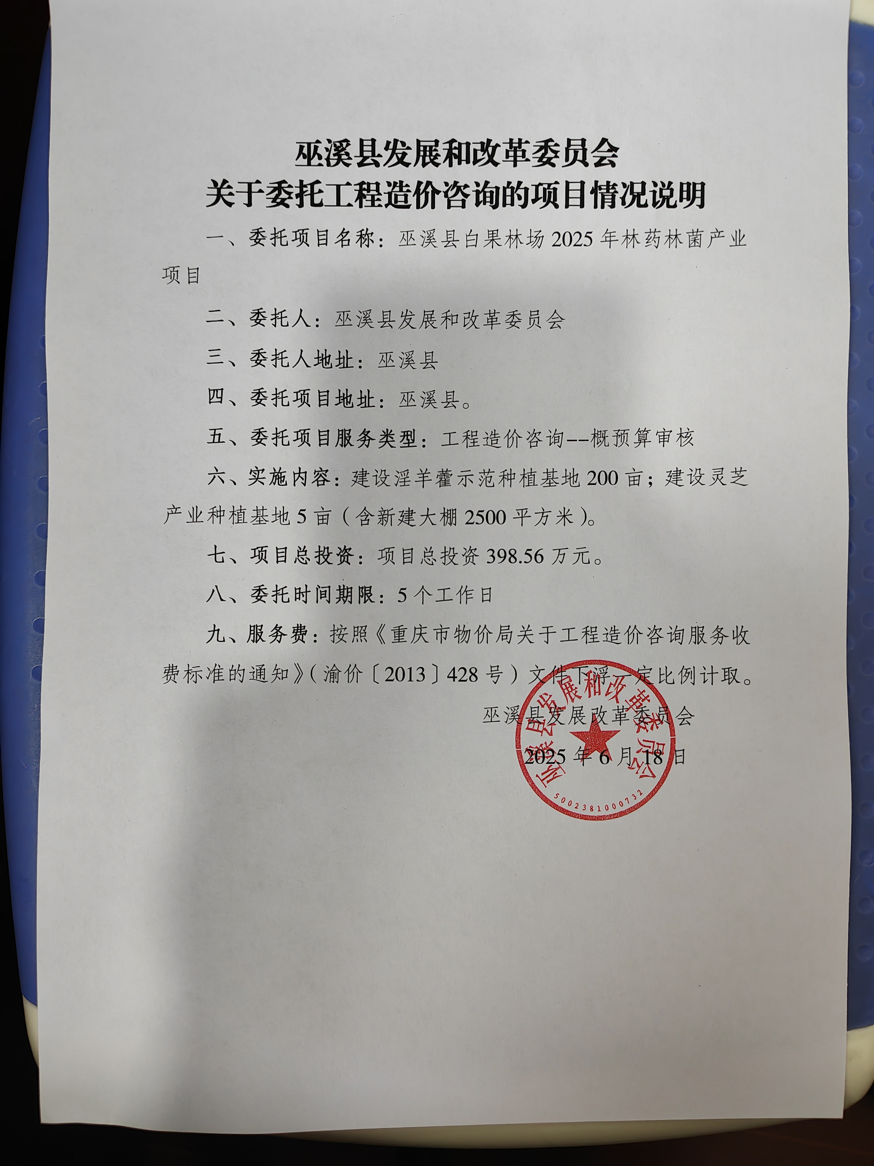 白果.jpg